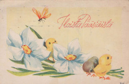 PASQUA POLLO UOVO Vintage Cartolina CPA #PKE400.IT - Pascua