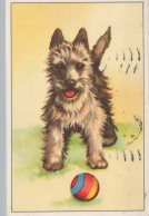 CANE Animale Vintage Cartolina CPA #PKE775.IT - Perros