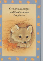 FOX Animale Vintage Cartolina CPSM #PBS065.IT - Otros & Sin Clasificación