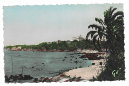 DAKAR - Un Coin De La Corniche ( Au Loin Le Palais Du Gouverneur) - Edit. GIL - - Senegal