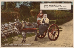 DONKEY Animals Vintage Antique Old CPA Postcard #PAA200.GB - Donkeys