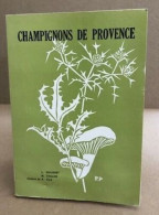 Champignons De Provence - Nature