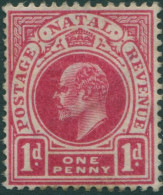 Natal 1902 SG128 1d Red KEVII MLH - Natal (1857-1909)