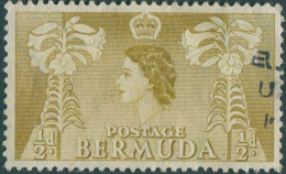 Bermuda 1953 SG135A ½d Olive Flowers QEII FU - Bermudes