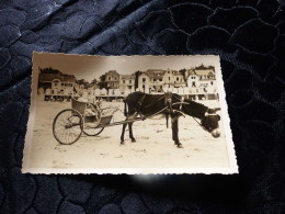 P-154 , Photo ,  Sables D'Olonne, Attelage D'enfant Tiré Par Un âne, Circa 1930 - Lugares