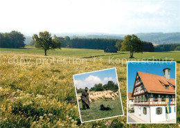 73267686 Laichingen Alblandschaft Mit Altem Rathaus Und Schaefer Laichingen - Sonstige & Ohne Zuordnung