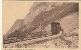 GENEVE164 --   GENEVE   --   CHEMIN DE FER DU MONT SALEVE  --  ZUG, TRAIN  --  TRAMWAY, ATTELAGE, HORSE - Genève