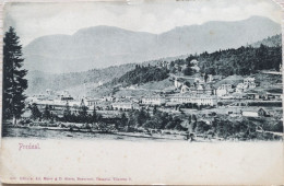 C. P. A. : Roumanie : PREDEAL : Vue Générale, Timbre En 1903 - Roumanie