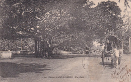 CEYLAN(COLOMBO) - Sri Lanka (Ceylon)