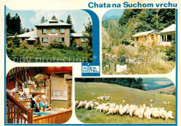 73267249 Chata Tschechien Suchom Vrch Schafe Interhotel  Chata Tschechien - Tschechische Republik