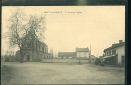 PONT DE CHERY LA PLACE   (    Mes Cartes Ne Sont Pas Jaunies ) - Pont-de-Chéruy