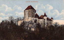 Schloss Wildenstein Color - Autres & Non Classés