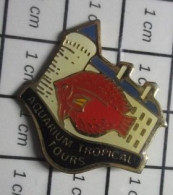 2319 Pin's Pins / Beau Et Rare / ANIMAUX / POISSON ROUGE AQUARIUM TROPICAL TOURS - Tiere