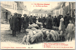 21 La Foire Au Porcs Dans Le Morvan  - Otros & Sin Clasificación