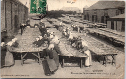 56 QUIBERON - Femmes Des Usines, Sechage Des Sardines  - Quiberon