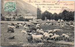 64 LARUNS - Moutons Au Paturage  - Altri & Non Classificati