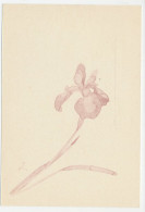 Postal Stationery Japan 1972 Flower - Other & Unclassified
