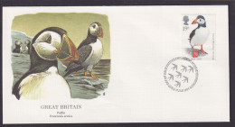 Großbritannien Fauna Vögel Lund Schöner Künstler Brief - Storia Postale