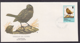 Tristan Da Cunha Atlantischer Ozean Inselguppe Fauna Vögel Gaugh Ammer Brief - Sammlungen (im Alben)