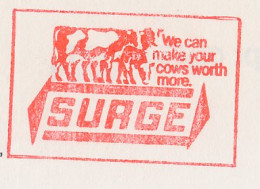 Meter Top Cut GB / UK 1988 Cow - We Can Make Your Cows Worth More - Hoftiere