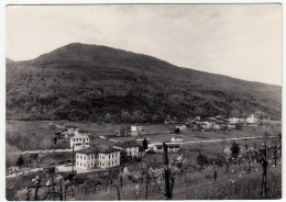 CREMENAGA ITALIANA - PANORAMA - LUINO - VARESE - 1954 - Luino