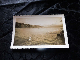 P-178 , Photo,  Plage D'Aix Les Bains, La Piscine Du Lac Du Bourget Août 1936 - Places