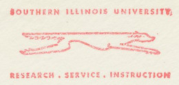 Meter Cut USA Dog - Illinois University - Other & Unclassified