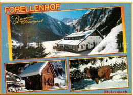 73265677 Aich Assach Steiermark Forellenhof Winterlandschaft Aich Assach Steierm - Otros & Sin Clasificación