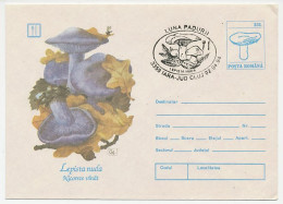 Postal Stationery Romania 1994 Mushroom - Champignons