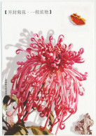 Postal Stationery China 1999 Butterfly - Flower - Sonstige & Ohne Zuordnung