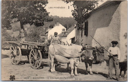 65 BAGNERES - Un Attelage Des Pyrenees  - Bagneres De Bigorre