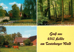 73265307 Ledde Pferde Teutoburger-Wald Ledde - Other & Unclassified