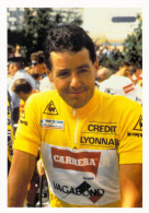 Cyclisme, Stephen Roche, Coeur De Lion Tour De France 2001 - Ciclismo