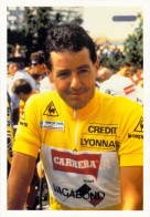 Cyclisme, Stephen Roche, Coeur De Lion Tour De France 2000 - Cycling