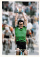 Cyclisme, Stephen Roche, Coeur De Lion Tour De France 1997 - Ciclismo