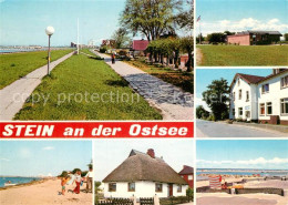 73265230 Stein Ostsee Laboe Strand Stein Ostsee - Laboe