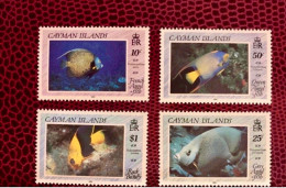 CAYMAN ISLANDS 1990 - 4v Neuf ** MNH YT 652 / 655 Mi 632 / 635 Pesce Poisson Fish Pez Fische KAIMAN INSELN - Fische