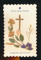 H.PRENTJE , IMAGE PIEUSE.  ==   FLORES TERRAE SANCTAE    . COLLAGE       +-   10 X 6 CM - Devotion Images