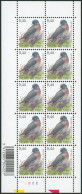 Collection / Collectie BUZIN (Oiseaux / Vogels) - Petit Feuillet F3390** (MNH) Planche, Plaatnummer 2 - 2001-2010