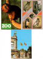 7 Kaarten Anvers Zoo Jardin Zoologique 7 Cartes Postales - Antwerpen