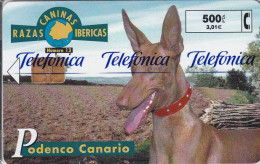 Nº13 PODENCO CANARIO DE LA SERIE RAZAS CANINAS IBERICAS DE TIRADA 4400 (NUEVA-MINT) CAN-DOG-PERRO - Privé-uitgaven