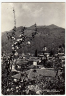 QUARNA SOTTO - SCORCIO PANORAMICO - VERBANIA - 1961 - Verbania