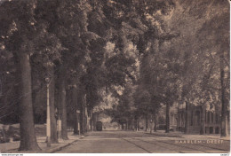 Netherlands Pays Bas Haarlem Dreef Tramway - Tram