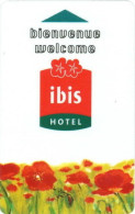 FRANCIA  KEY HOTEL    Ibis Hotel - Bienvenue Welcome - Chiavi Elettroniche Di Alberghi