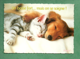 CHIEN . CHAT . " ON BOSSE FORT... MAIS ON SE SOIGNE ! " - Réf. N°12994 - - Gatti