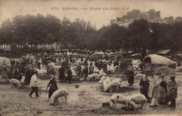 35 , Cpa   RENNES , 1079 , Le Marché Aux Porcs  (14926.V24) - Rennes