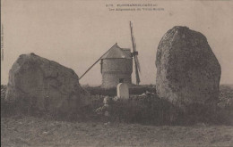 PLOUHARNEL CARNAC Les Alignements Du Vieux Moilin - Sonstige & Ohne Zuordnung