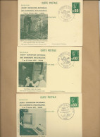 3 ENTIERS POSTAUX REPIQUES AVEC CACHET ILLUSTRES LES CHEMINOTS PHILATELISTES 7-8 FEVRIER 1976 - Cartoline Postali Ristampe (ante 1955)