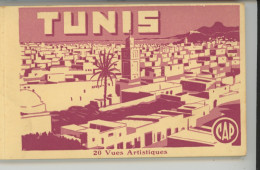 TUNISIE - TUNIS - Carnet Complet De 20 CPA En Parfait état - Edition E.Y. à TUNIS - Tunesië