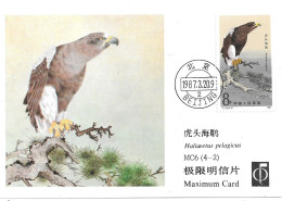 Halioeetus Pelagicus - Pygargue Empereur - Carte Chinoise - Birds